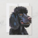 Search for poodle cards Fluffy