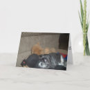 Search for memorial shih tzu home living Sympathy