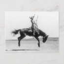 Search for vintage cowgirl postcards Photograph