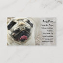 Search for pugs business cards Animals