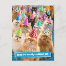 Search for cat in a hat invitations Party