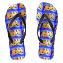 Search for eagles shoes America