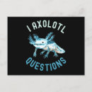 Search for axolotl postcards Amphibian