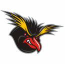 Search for angry penguin Penguins