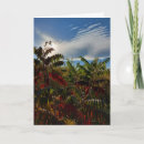 Search for canadian colours cards Canada