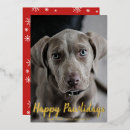 Search for happy pawlidays cards Snowflakes