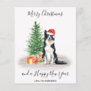 Search for collie christmas cards Dog