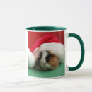 Search for guinea pigs mugs Rodent