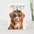 Search for tolling Pets
