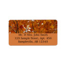 Search for maple tree return address labels Fall