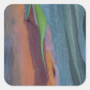 Search for gum stickers Usa