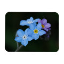 Search for nots magnets Flowers
