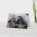 Search for cat get well cards Kitty