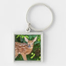 Search for white tail key rings Animal