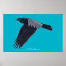 Search for corvids posters Crow