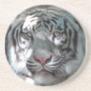Search for big cats coasters Animals