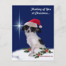 Search for papillon christmas cards Pet