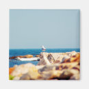 Search for posts magnets Ocean