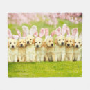 Search for cute rabbit blankets Bunnies