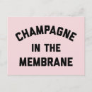 Search for champagne postcards Funny