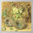Search for birds nesting posters Nature