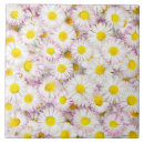 Search for daisy tiles Nature