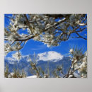 Search for covering art Blue