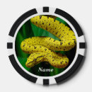 Search for snake morphs Animal