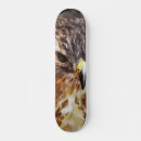Search for tails skateboards Hawk