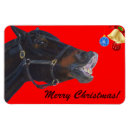 Search for funny horse christmas cards Cute