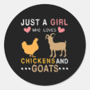 Search for rooster lover stickers Hen