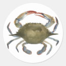 Search for crabs stickers Watercolors