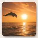 Search for dolphin coasters Jumping