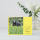 Search for rose horizontal postcards Yellow