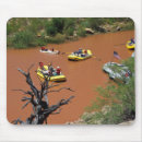 Search for colorado river mouse mats Arizona