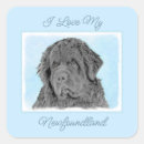 Search for newfoundland dog stickers Puppy
