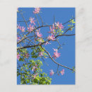 Search for blumen postcards Postkarte