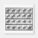 Search for jump magnets Horse