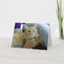 Search for postage cards Animals