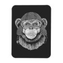 Search for funny chimp magnets Cute