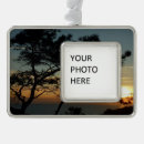 Search for san diego christmas tree decorations Landscape