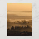 Search for misty postcards Sunrise