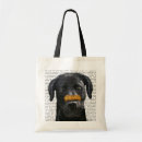 Search for bones bags Steampunk