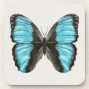 Search for butterfly lovers coasters Insect