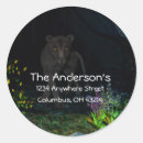 Search for black jaguar stickers Feline