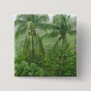 Search for rainforest badges Environment