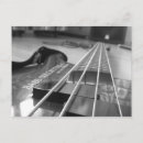 Search for bass postcards Cool