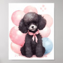 Search for black poodle posters Puppy