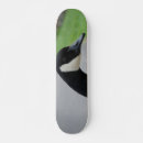 Search for goose skateboards Gander