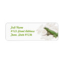 Search for lizard return address labels Reptile